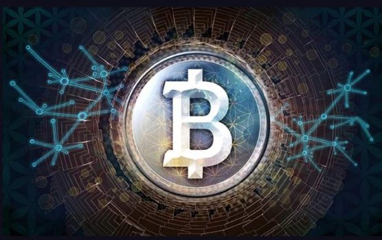 Bitcoin программы для майнинга – все, что нужно знать о вариантах добычи криптовалюты