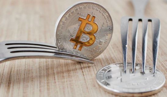 World Bitcoin и Bitcoin Candy – новые форки Bitcoin и Bitcoin Cash